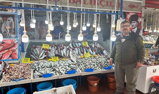 Tezgahlarda Hamsi, Çinekop ve Palamut bolluğu