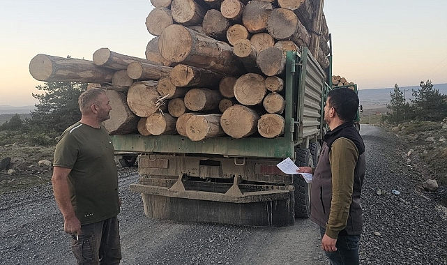 Tomruk hırsızları yakayı ele verdi