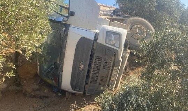 Toprak yüklü kamyon zeytin bahçesine devrildi