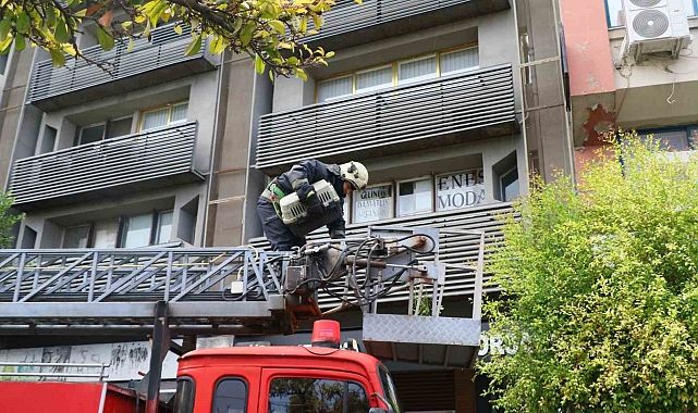 Turistler demirler arasında mahsur kalan kedinin kurtarılışını meraklı gözlerle izledi
