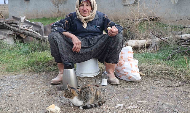 Türkiye&#039;ye örnek olan Dilber nine çok arzuladığı konteynere kavuştu