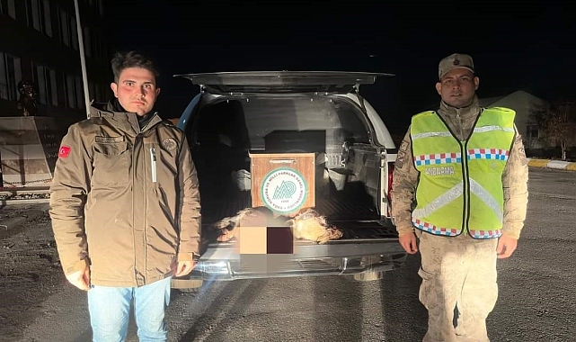 Van&#039;da gece avcılığı yapan şahısa idari para cezası uygulanacak