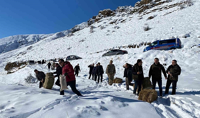 Yaban hayvanları için doğaya yiyecek bırakıldı