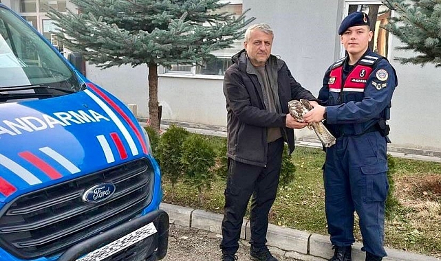 Yaralı olarak bulunan şahin tedavi altına alındı