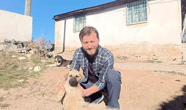 Yavru köpeğe hayat kurtaran heimlich müdahalesi