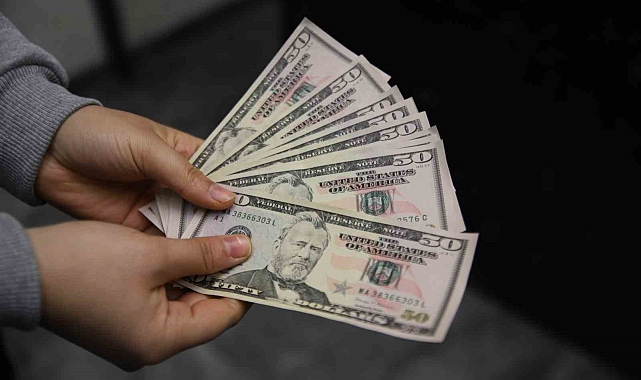 Yazılım hatası pahalıya mal oldu