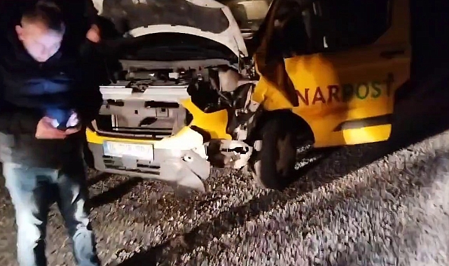 Yola çıkan boz ayıya otomobilin çarp