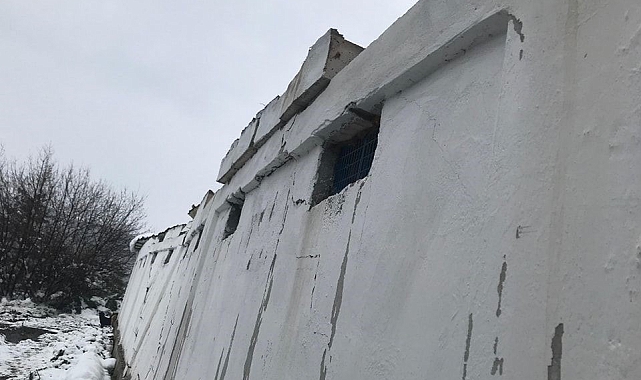 Yüzlerce tavuk telef oldu