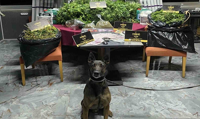 Zehir tacirlerine &#039;Rex&#039;li baskın