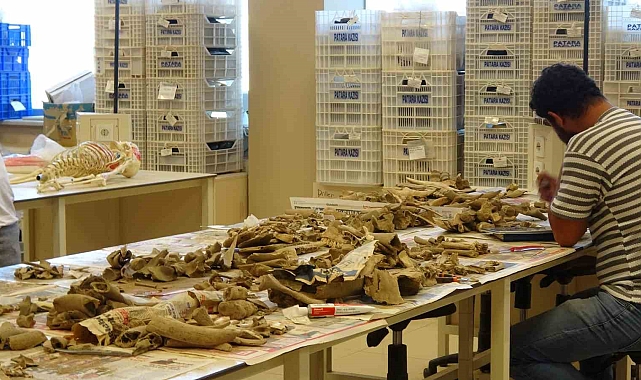 10 bin iskelet ve fosil dijital arşive taşınıyor