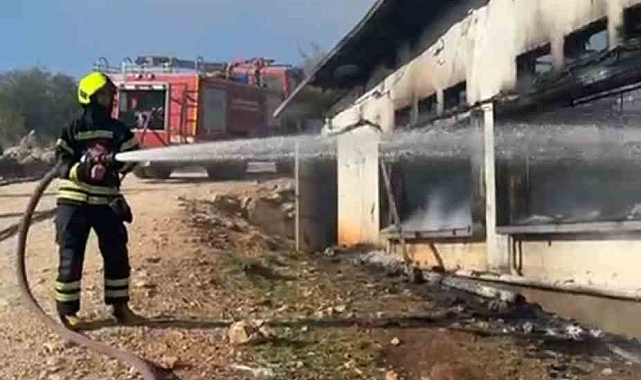 33 bin civciv yangında telef oldu