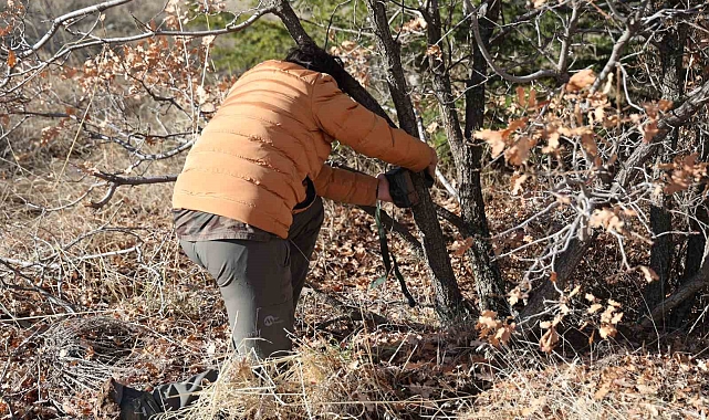 7 yaşından beri yaban hayatını kayıt altına alıyor