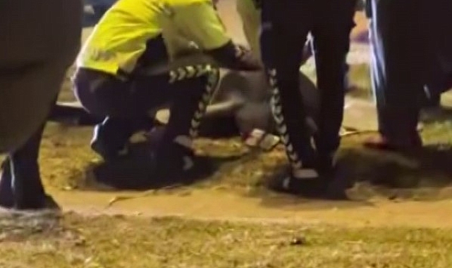 Adana&#039;da meydana gelen kazada,1 pilot hayatını kaybetti