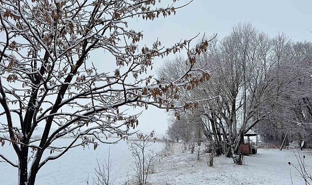 Ağrı Beyaz Bir Peri Masalına Dönüştü!