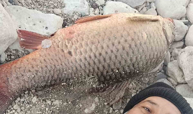 Amatör balıkçı 24 kiloluk sazan yakaladı