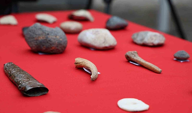 Amida Höyük&#039;teki Tarihi Keşifler: 10 Bin Yıllık Bir Medeniyetin İzleri