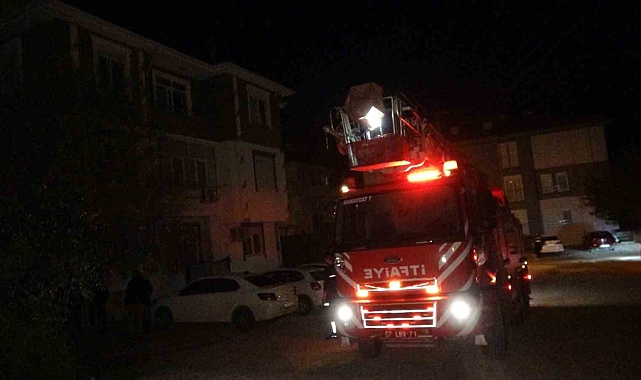 Anne ve 2 küçük çocuğu, sese uyanıp dışarı çıkarak canlarını kurtardı