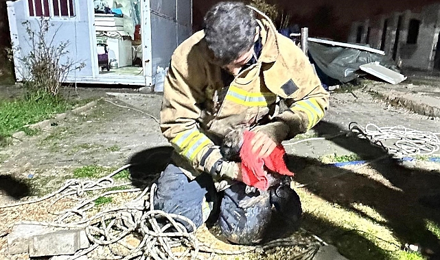 Antakya&#039;da Kuyuda Mahsur Kalan Yavru Köpek Kurtarıldı