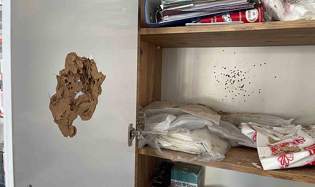 Antalya&#039;da Aile Dramı: Eczacıya Silahlı Saldırı