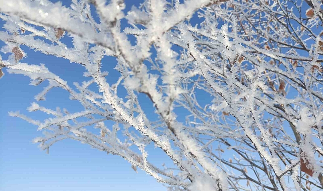 Ardahan, adeta sibirya soğuklarına teslim oldu
