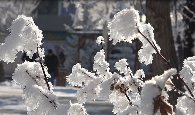 Ardahan&#039;da, kırağı tutan ağaçlar kartpostallık görüntüler oluşturdu