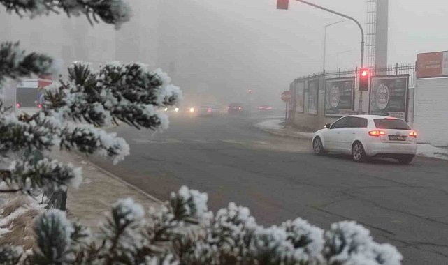 Ardahan&#039;da soğuk hava ve sis etkili oldu