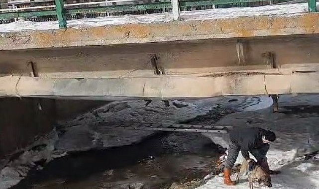 Buz tutan Çoruh Nehri&#039;nde baba ve çocuklarının yürekleri ısıtan köpek kurtarma operasyonu