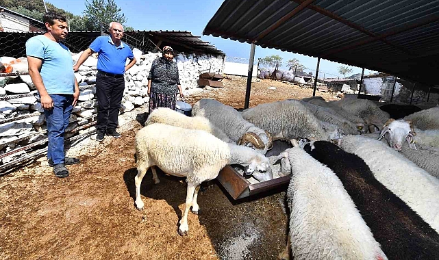 Çiftçiye 270 milyon liralık destek