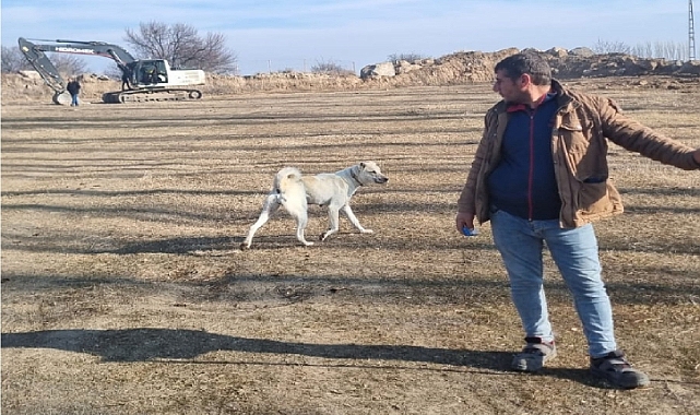 Çoban Yaşar Otağ ve Köpeği Corco&#039;nun Güçlü Bağları