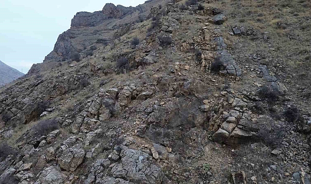 Dağ keçileri dronla görüntülendi
