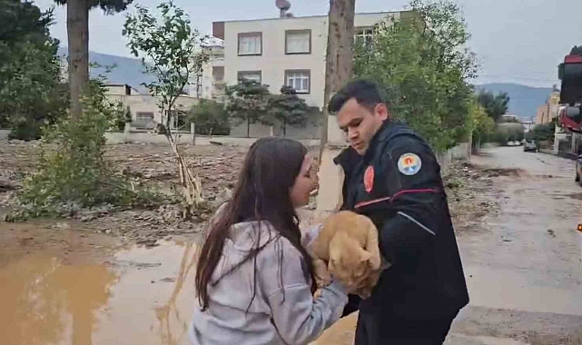 Dalda mahsur kalan kedisi kurtarılınca sevinçten gözyaşı döktü