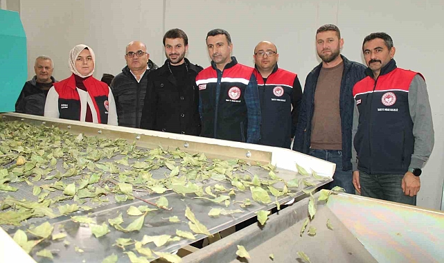 Devletten aldığı yüzde 50 hibe ile işletme kapasitesi 3 katına çıktı