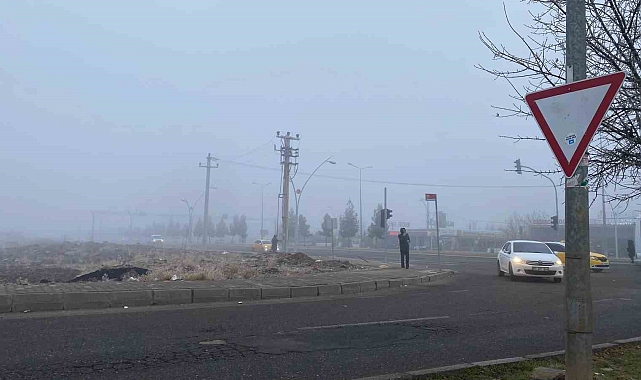 Diyarbakır&#039;da Sis Felaketi: Uçak Seferleri İptal, Yaşam Durma Noktasına Geldi