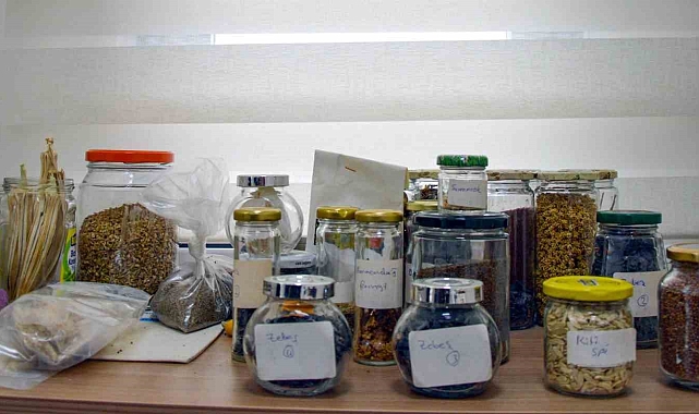 Diyarbakır&#039;da Tohum Kütüphanesiyle Yerel Tohumlar Korunacak