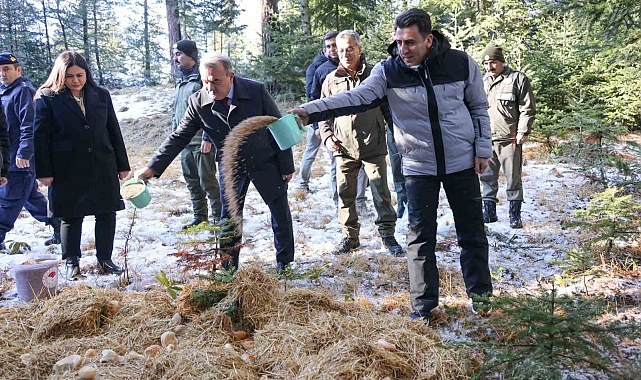 Doğada aç kalan yaban hayvanları için yem bıraktılar