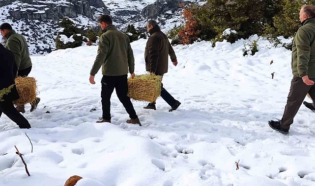 Elazığ&#039;da Yaban Hayvanları Kışın Unutulmadı: 850 Kilo Yemle Yaşam Mücadelesi Desteklendi