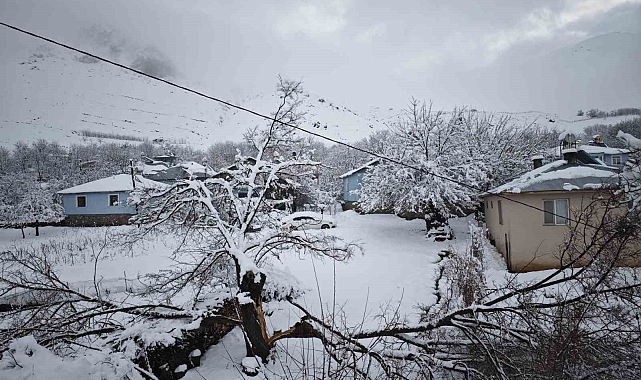 Elazığ&#039;da yoğun kar yağışından dolayı ağaçlar devrildi