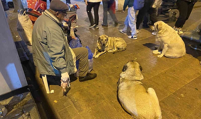 Elde ettiği kazancı hayvanlarla paylaşıyor