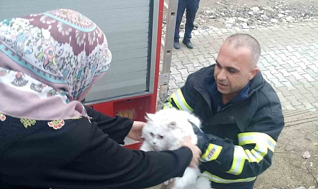 Hatay&#039;da Ağaçta Mahsur Kalan Kedi İtfaiye Ekipleri Tarafından Kurtarıldı