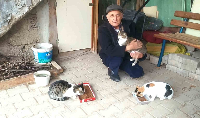 Hisarcık&#039;ın İyi Kalpli Bekçisi: Sokak Kedilerinin Meleği