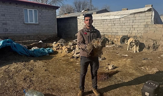Iğdır&#039;da bitkin halde bulunan puhu kuşu yetkililere teslim edildi