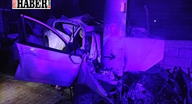 Iğdır'da Elektrik Direğine Çarpan Araçta Sürücü Ağır Yaralandı