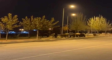 Iğdır'da Yürüyüş Yolu Sorunu: At Arabaları ve Hayvanlar Vatandaşları Mağdur Ediyor