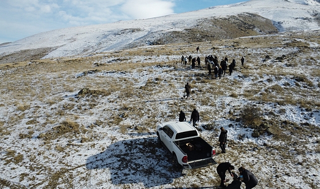 Iğdır Üniversitesi Öğrencileri Yaban Hayatı İçin Birlik Oldu