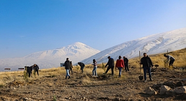 Iğdır Üniversitesi, Yeşil Kampüs Hayaliyle Ağaçlandırmaya Devam Ediyor!
