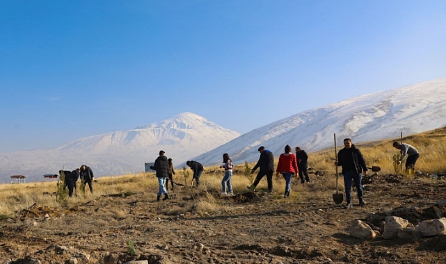 Iğdır Üniversitesi, Yeşil Kampüs Hayaliyle Ağaçlandırmaya Devam Ediyor!