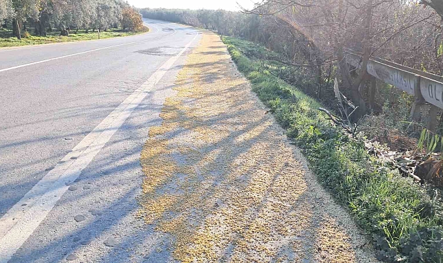 İznik&#039;te Fasulye Yağmuru: Tonlarca Soya Fasulyesi Yola Saçıldı