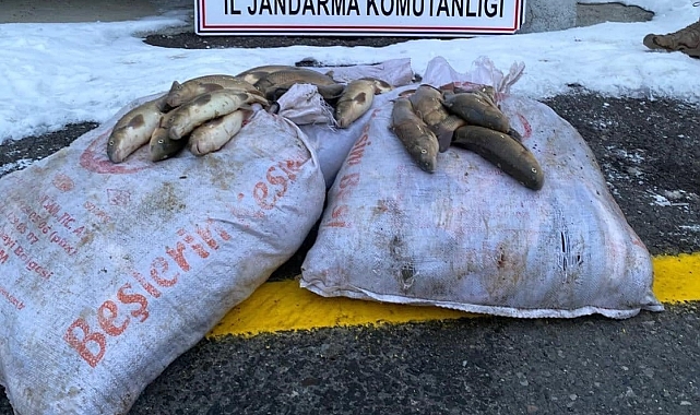 Kaçak balık avlanan 4 avcı jandarma ekiplerince yakalandı