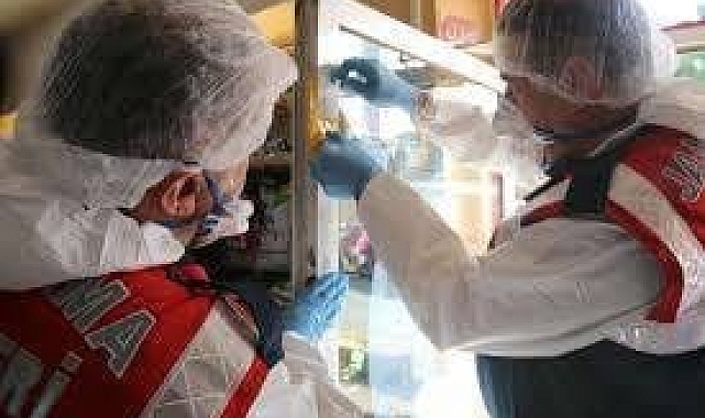 Kasım ayında yaşanan 23 faili meçhul olay aydınlatıldı