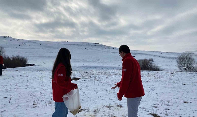 Kızılay gönüllüleri, kuşları unutmadı